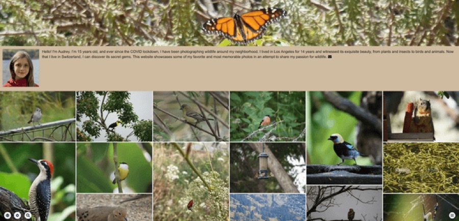 Audrey Bovet's website